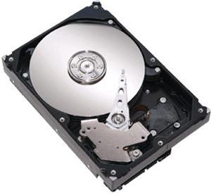 HARD DISK WESTERN DIGITAL  2,5" 120GB 5400RPM 8MB SATA (WD1200BEVS)