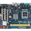 MAINBOARD ASROCK CONROE G31M-GS G31 SOK.775, QUADCORE MATX  2XDDR2 800 VGA ON BOARD 4XSATA2, RETAIL