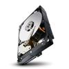 HARD DISK SEAGATE BARRACUDA 3TB ST33000650NS im HP Hot-Swap Tray