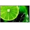 MONITOR LCD 64,5" SHARP DIGITAL SIGNAGE - E658,60005059, 8MS IPS 4K 3840X2160 HDMI VGA VESA MULTIM 
