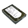 HARD DISK SEAGATE SCSI 146GB ST3146855SS sas 15000 rpm 3.5 inch 300 Mbit/s Seagate Cheetah 15K.5 Sas